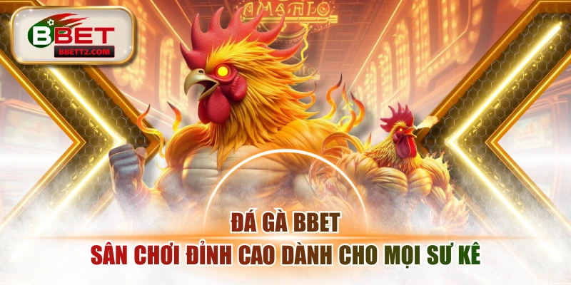Đá Gà BBET - Sân Chơi Đỉnh Cao Dành Cho Mọi Sư Kê